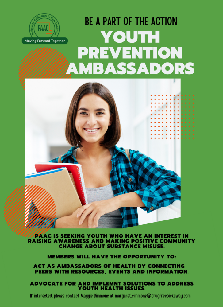 Youth Prevention Ambassador Program