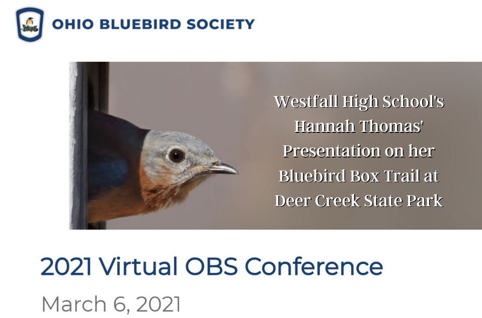 2021 Virtual OBS Conference
