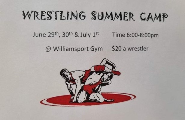 Wrestling Summer Camp