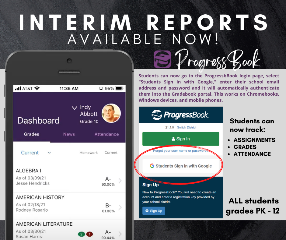 Interim Reports