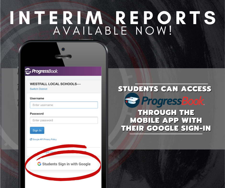 Interim Reports