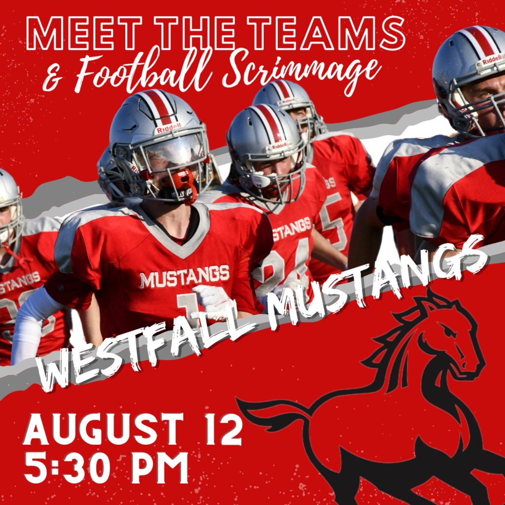 Meet the Teams