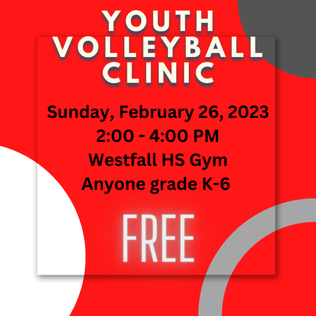 Youth Volleyball Clinic